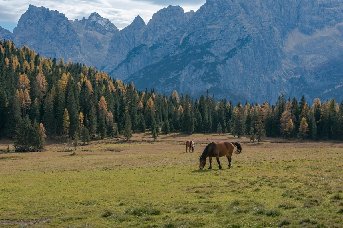 Smettila di pagare hotel carissimi. La vacanza a 51 euro di Eurospin ti lascerà senza parole